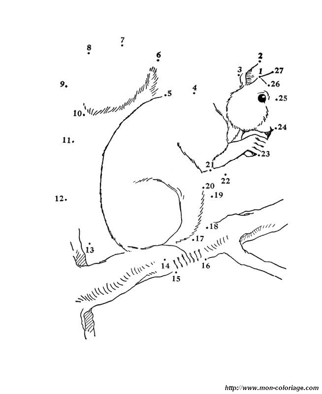 ausmalbild eichhornchen in einem baum